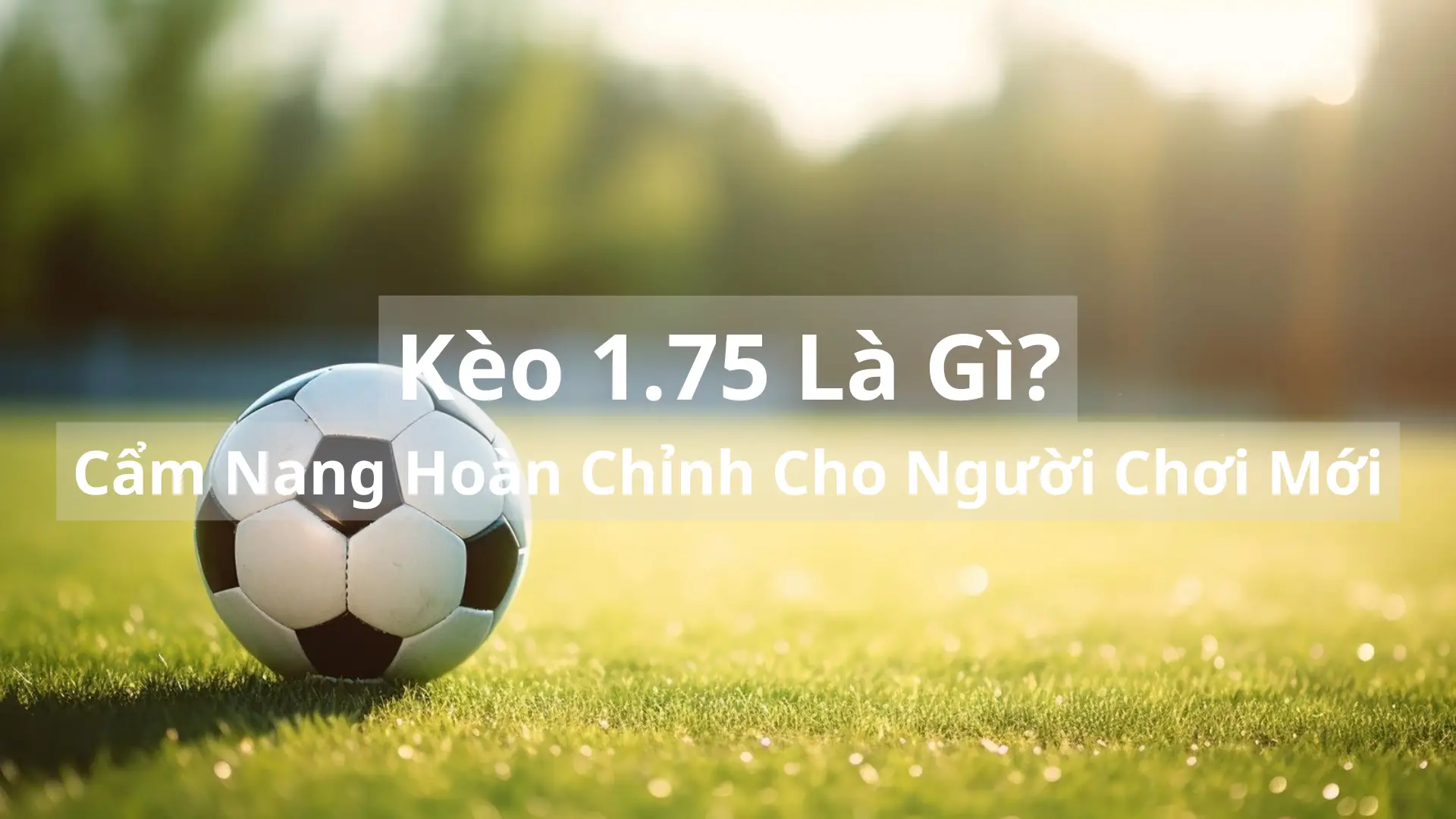 Kèo 1.75 Là Gì? Cẩm Nang Hoàn Chỉnh Cho Người Chơi Mới