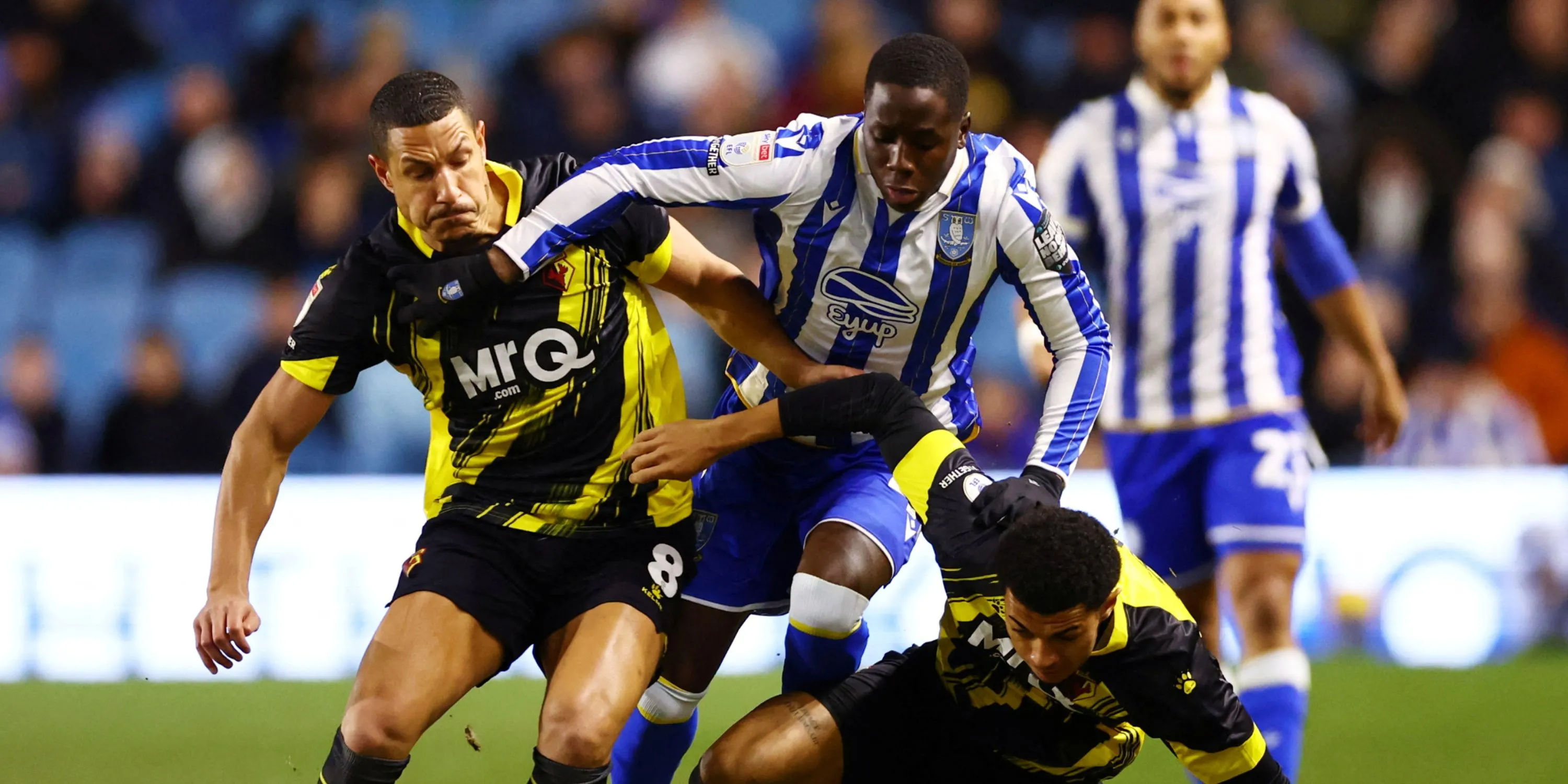 Djeidi Gassama thi đấu cho Sheffield Wednesday tại Championship, tiềm năng trên thị trường chuyển nhượng Rangers