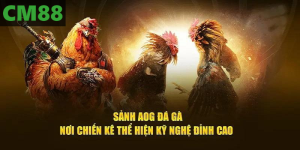 AOG đá gà